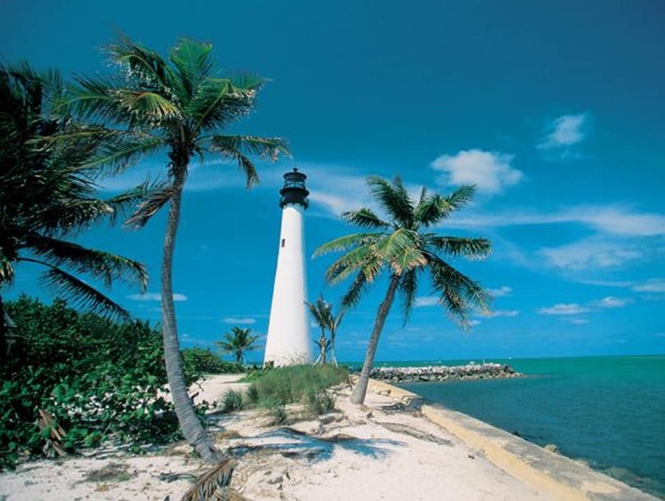 A picture of a white lighthouse and palm trees on the beach in Florida