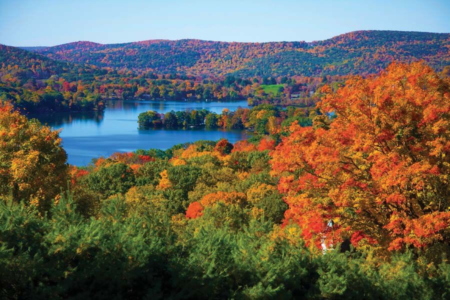 Connecticut trees in the fall